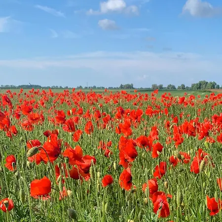 Klein Kapelle Apartament *