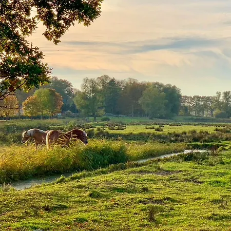 Klein Kapelle Gingst