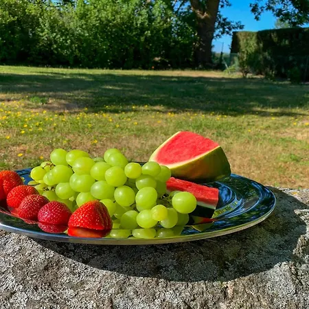 Klein Kapelle Apartament