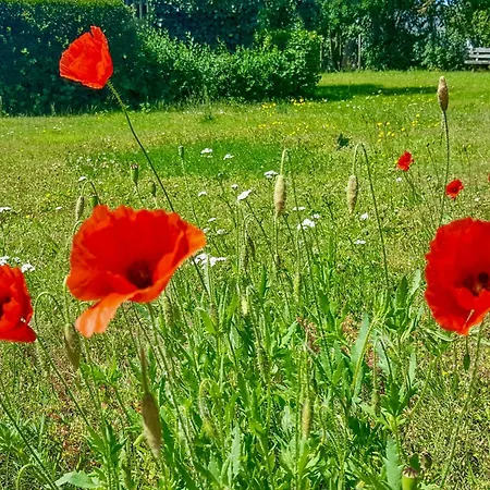 Appartement Klein Kapelle *
